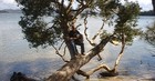 Picture for song 'Last First' by artist 'Markus Shore'