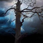 Picture for song 'Evil Wind' by artist 'Mark Wessels'