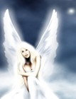 Picture for song 'My Immortal' by artist 'Mblia'