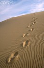 Picture for song 'One Step at a Time (Bennett/Kienow)' by artist 'Melissa Kienow'