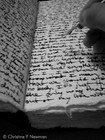 Picture for song 'Dear Diary (East Coast)' by artist 'Messina Beats'