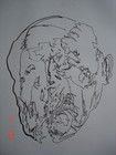 Picture for song 'live bbx' by artist 'MGR'