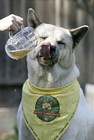Picture for song 'Drink That Girl Pretty' by artist 'Michael Haze'