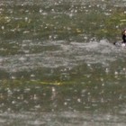 Picture for song 'Ancient Nostalga 7' by artist 'Michael Parcell-Davies'