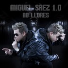 Picture for song 'NO LLORES ( MIGUEL SAEZ)' by artist 'MIGUEL SAEZ'
