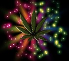 Picture for song 'B L O W N A W A Y' by artist 'MIKE TEW BEATZ'