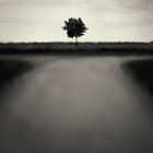 Picture for song 'Where To Go' by artist 'milla kara'