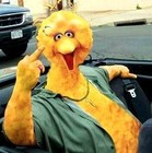 Picture for song 'Flippin Birds FREE D/L(prod by M.S.I)' by artist 'Mixed Signals Instrumentals'