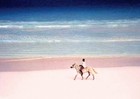 Picture for song 'Pink Sand (SOLD)' by artist 'MoMurdaBeatz'