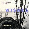 Picture for song 'Wishes (Extra-Light Version)' by artist 'Mondae Stonehouse'
