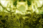 Picture for song 'Cathedral of Schizophonic Junk' by artist 'MOP Cortex'