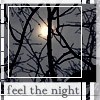 Picture for song 'This Time of Night' by artist 'Mossdog'