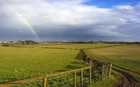 Picture for song 'Fields of Green (with drums)' by artist 'Mothership Music Group'