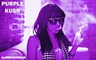 Picture for song 'Purple Kush' by artist 'Mr.Kooman'
