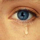 Picture for song 'My Life Has Gone' by artist 'Mr Nobodyfm'