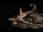 Picture for song 'Why Don't You Love Me?' by artist 'Mr Wax'