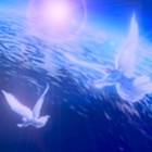 Picture for song 'There'll be angels' by artist 'Music with Carol'