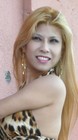 Picture for song 'EXOTIC GIRLS' by artist 'MYSTICA AND HER ELUSIVE DREAMS'