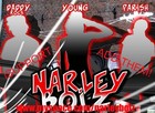 Picture for song 'We Come In Peace - Narley Boiz Full&Copyrighted' by artist 'Narley Boiz'