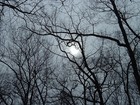 Picture for song 'Holiday' by artist 'Neo Metric'