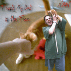 Picture for song 'Punch My Cat in the Face' by artist 'NEW (Piemerica)'