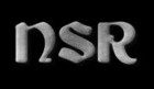 Picture for song 'Dont give a sh***. (burnzy)' by artist 'New Skool Regime'