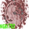 Picture for song 'NGB1792 FIGHT 2008' by artist 'ngb1792'