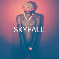 Picture for song 'Skyfall (FREE D/L)' by artist 'NGHTBLD'
