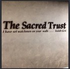 Picture for song 'We Will Make It - Let Faith Arise' by artist 'nHzImage'