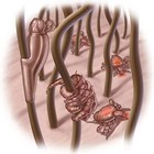 Picture for song 'You're Frequently A Host Of Crabs' by artist 'Nick Caldwell And The Robot Drummer'