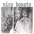 Picture for song 'lucia reparto tessitura(LP1975)' by artist 'NICO BONATO'