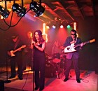 Picture for song 'LIVE FOR TODAY' by artist 'NIKI and THE BREAKERS'