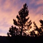 Picture for song 'Hot Strings' by artist 'Nils-Ole Finbak'