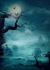 Picture for song 'Spooky mob Beat' by artist 'Niner'