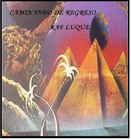 Picture for song 'CAMINANDO DE REGRESO' by artist 'nirmanakaya'