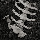 Picture for song 'Wreck-side' by artist 'Normal Heights'