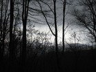 Picture for song 'Old Girl' by artist 'North Crest Music'