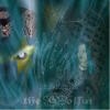 Picture for song 'Back and Forth' by artist 'Nova Kain the Scorpion Andrew Breer'