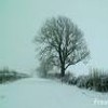 Picture for song 'When It Snowed' by artist 'Null Dynamo'