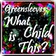 Picture for song 'Greensleeves - What Child is This? (inst)' by artist 'Numi Who Creative Covers'