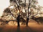 Picture for song 'Everything's Gonna Be Alright' by artist 'Obscure Beginnings'