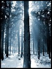 Picture for song 'profound vastness' by artist 'Oceanofsilence'