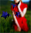 Picture for song 'Ocenap' by artist 'Ocero'