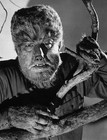 Picture for song 'Wolfman's Smelly Castle' by artist 'Odd Lockset'