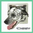 Picture for song 'Sinnombre' by artist 'Oggy'