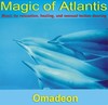 Picture for song 'Rebirth of the Dolphins (original, v2.0)' by artist 'omadeon'