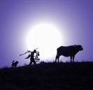 Picture for song 'Spectral' by artist 'ONE SHOT BLUES BAND'