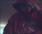 cover pic