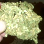 Picture for song 'Mista Smoke - Light Green on Tha Inside' by artist 'Original Smoke Soulja Ent'