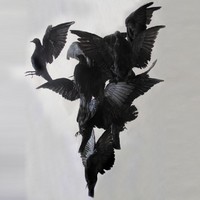 Picture for song 'Neverland' by artist 'ORMESBeatz'